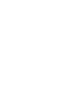 vector shape