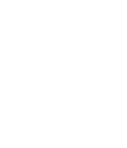 vector shape